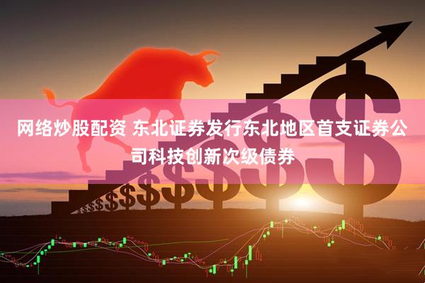 网络炒股配资 东北证券发行东北地区首支证券公司科技创新次级债券