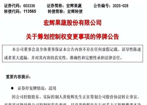 2025年配资明细表最新 6大疑云笼罩宏辉易主：资本暗战还是断臂求生？